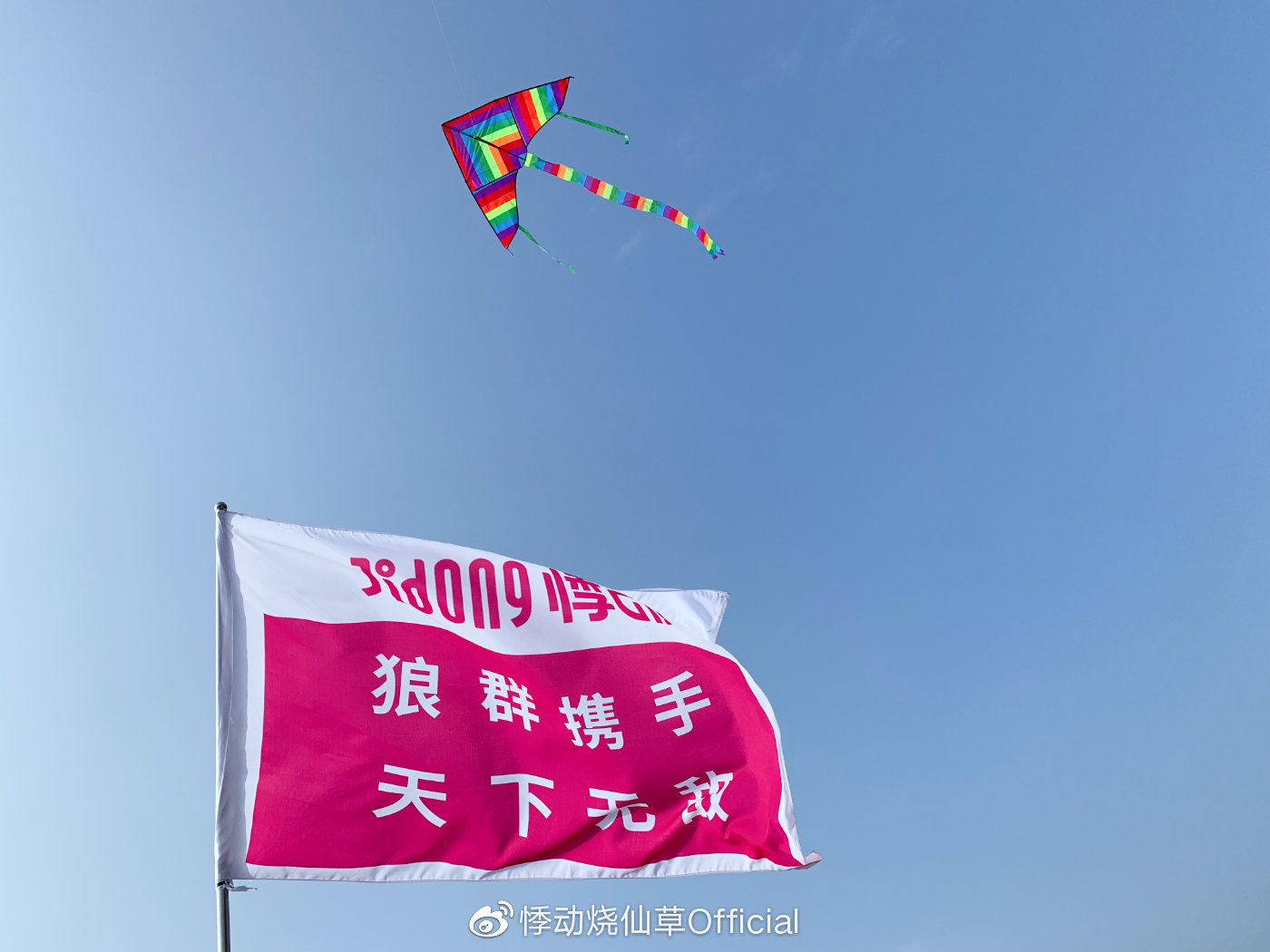 悸动烧仙草.jpg