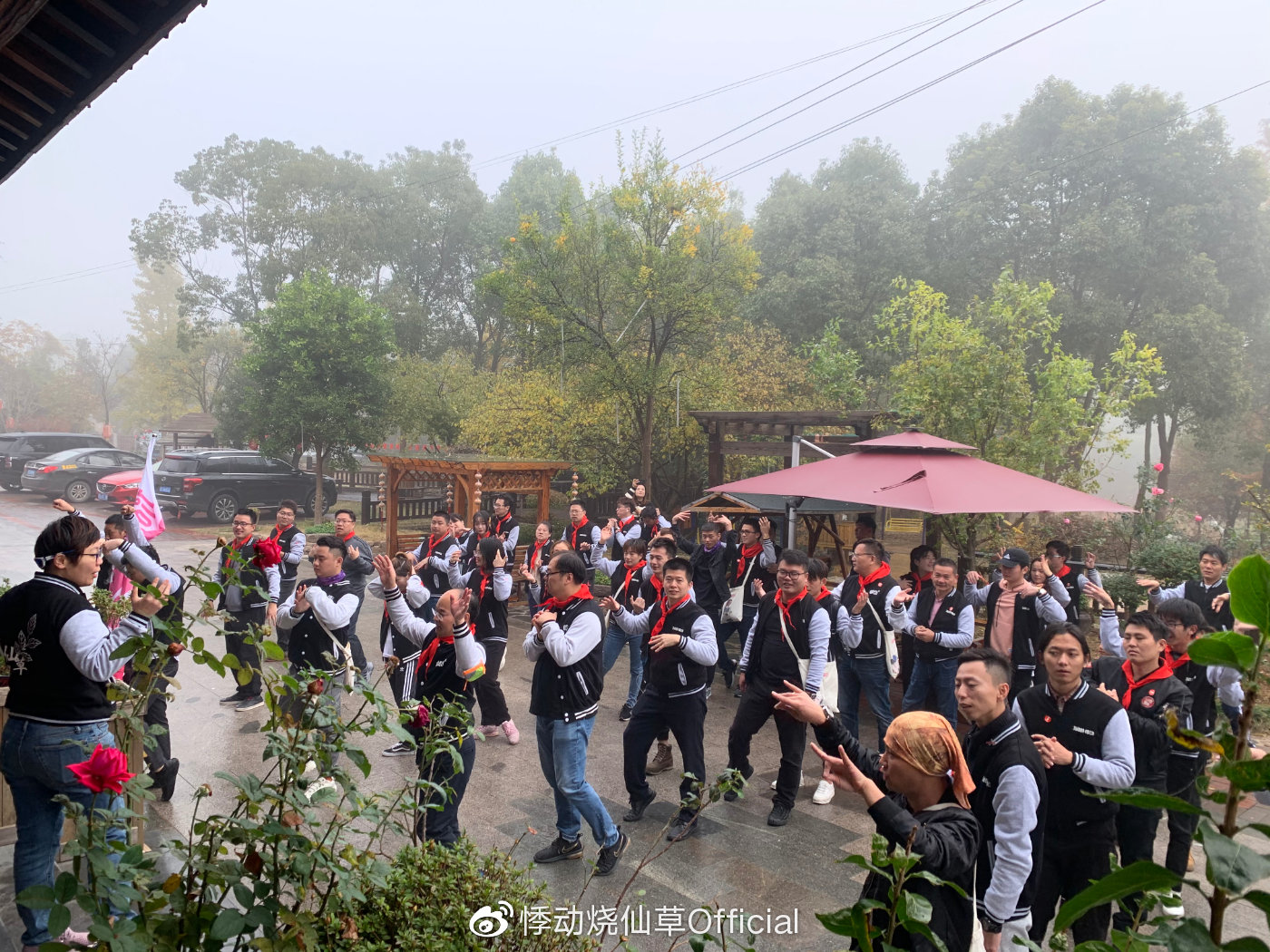 悸动烧仙草.jpg