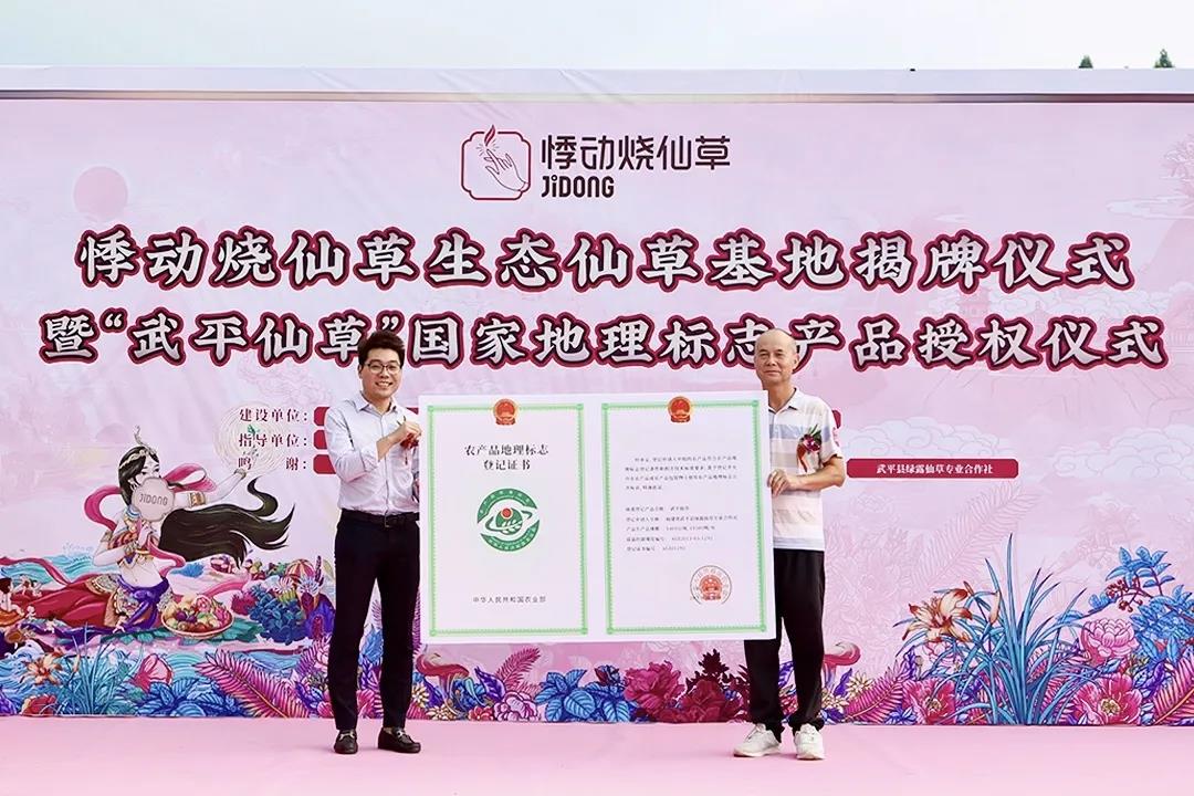 悸动烧仙草