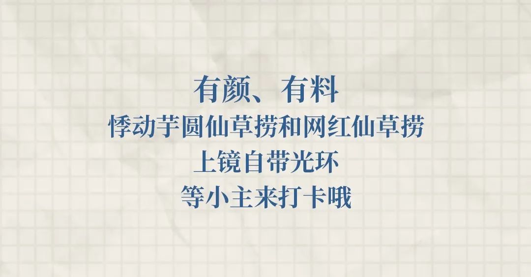 悸动烧仙草