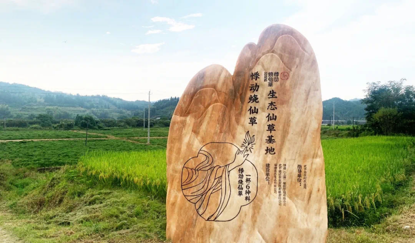 悸动烧仙草加盟 悸动烧仙草加盟