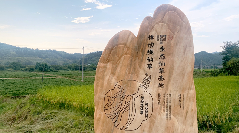 微信图片_20221116142526.png