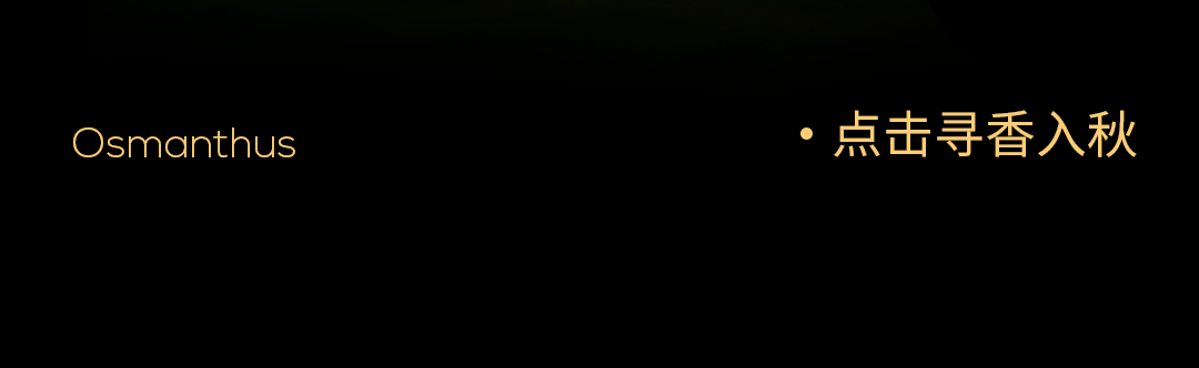 2_01_02.gif