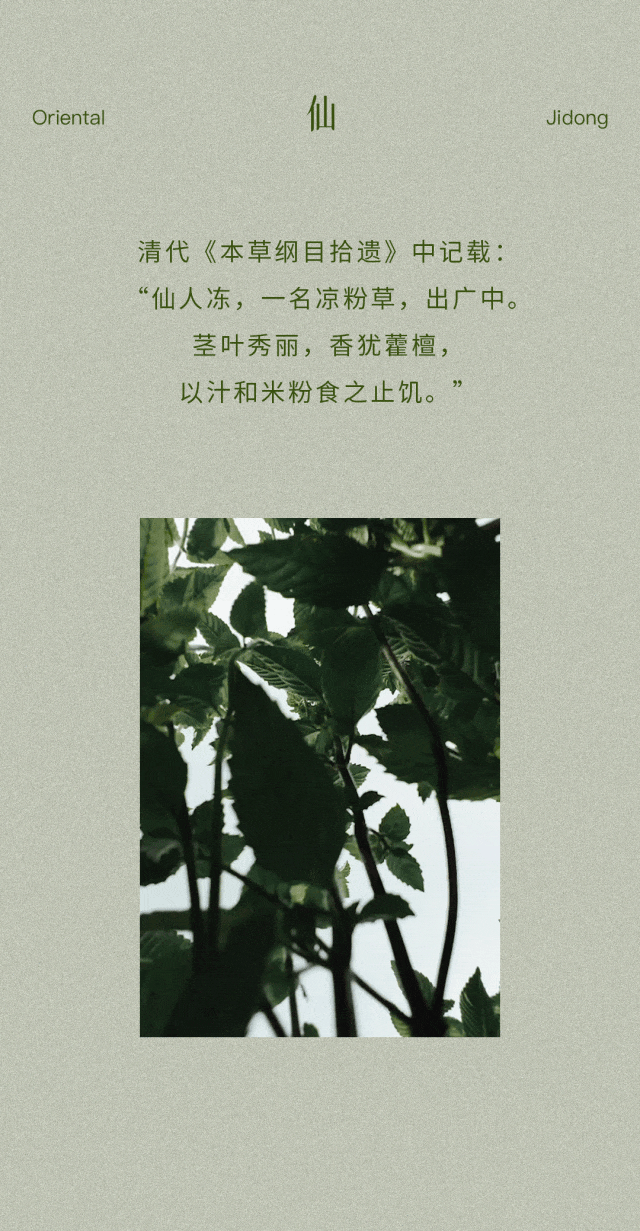 1.gif