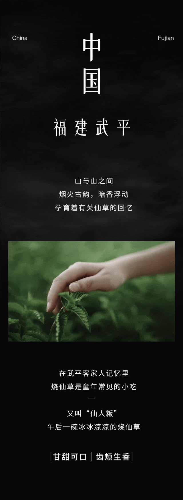 640 (1).gif